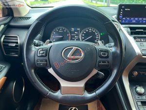 Xe Lexus NX 300 2019