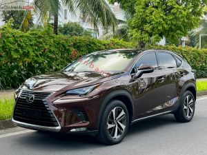 Xe Lexus NX 300 2019