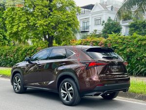 Xe Lexus NX 300 2019