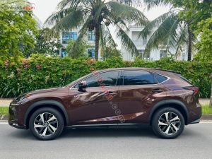 Xe Lexus NX 300 2019