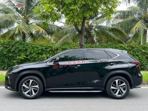 Xe Lexus NX 300 2017