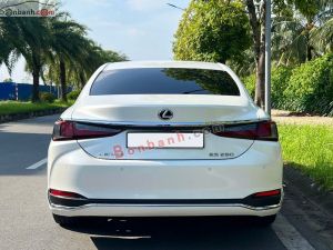 Xe Lexus ES 250 2022