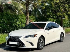 Xe Lexus ES 250 2022