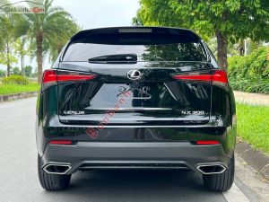 Xe Lexus NX 300 2017