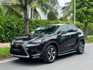 Xe Lexus NX 300 2017