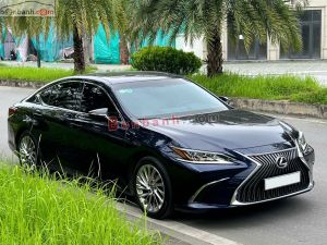 Xe Lexus ES 250 2019