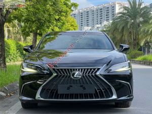 Xe Lexus ES 250 2021