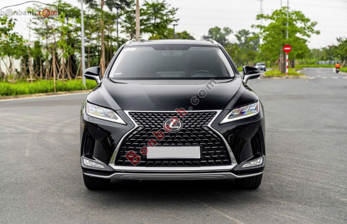 Xe Lexus RX 300 2020