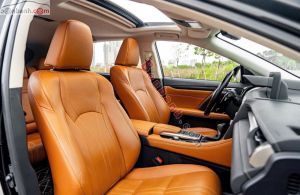 Xe Lexus RX 300 2020