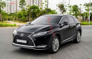 Xe Lexus RX 300 2020