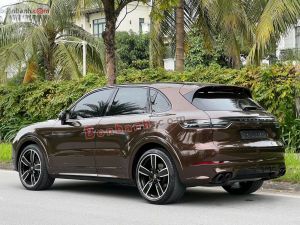Xe Porsche Cayenne 3.0 V6 2019