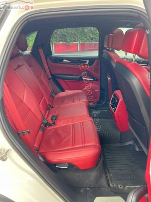 Xe Porsche Cayenne 3.0 V6 2019